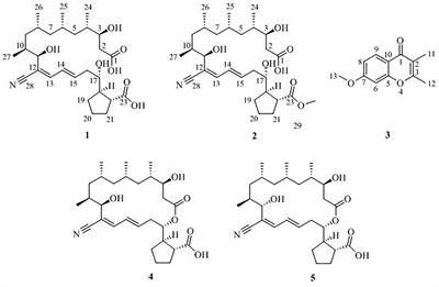 New Metabolites From the Co-culture of Marine-Derived Actinomycete Streptomyces rochei MB037 and Fungus Rhinocladiella similis 35